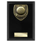 Cobra Plaque Pool Award