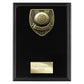 Cobra Plaque Pool Award