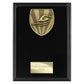 Cobra Plaque Swimming Award