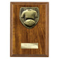 Cobra Plaque Football Shirt & Ball Award Walnut
