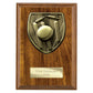 Cobra Plaque Cricket Award