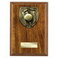 Cobra Plaque Cricket Award