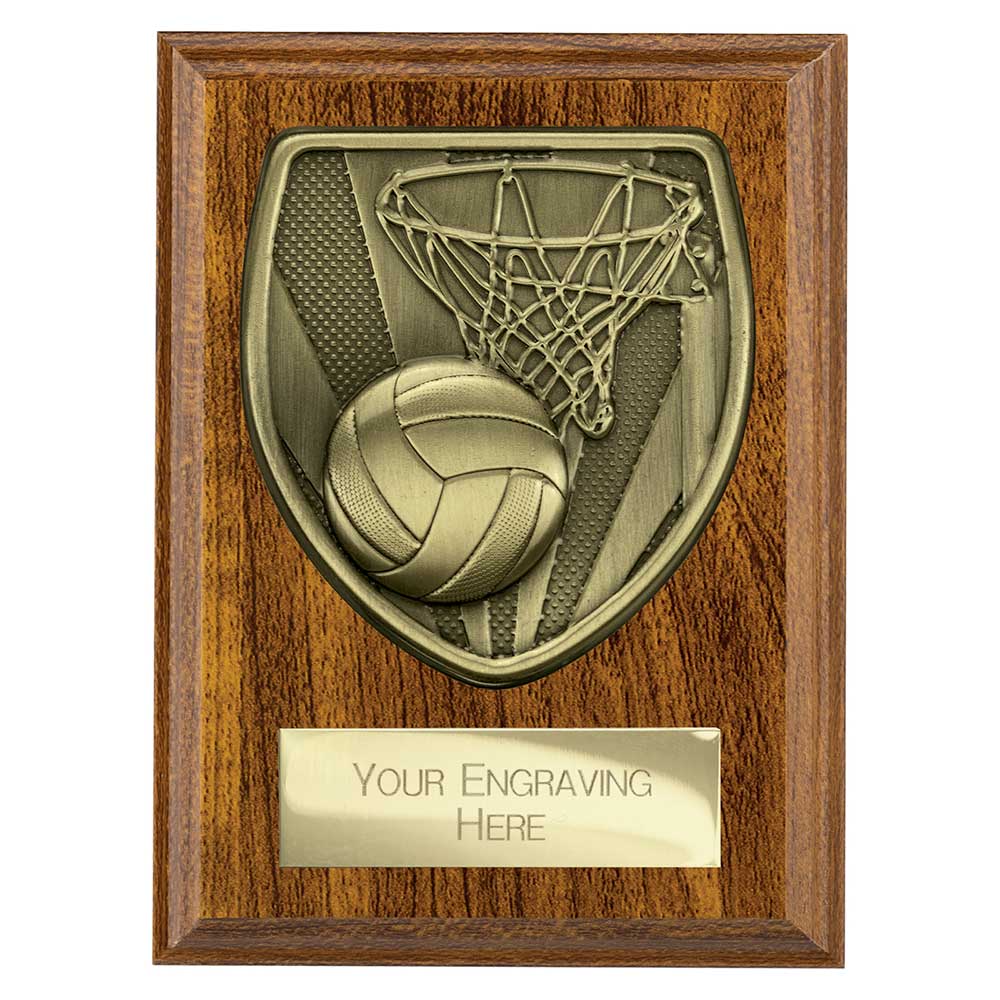 Cobra Plaque Netball Award