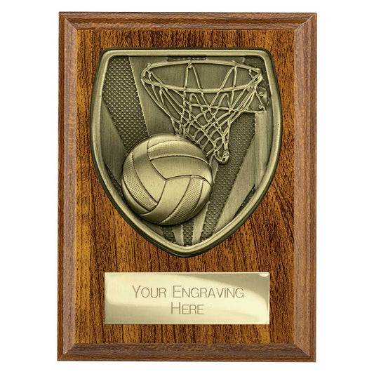 Cobra Plaque Netball Award