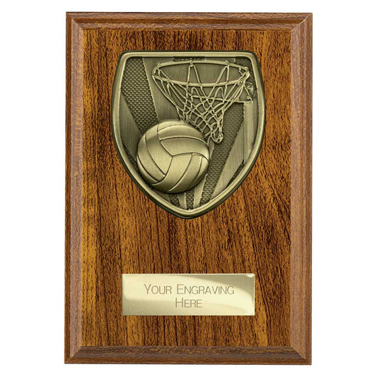 Cobra Plaque Netball Award