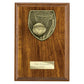 Cobra Plaque Netball Award