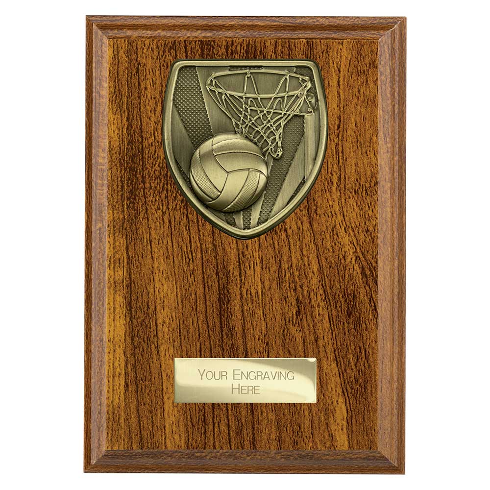 Cobra Plaque Netball Award