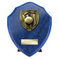 Cobra Shield Cricket Award