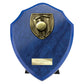 Cobra Shield Cricket Award