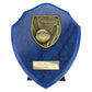 Cobra Shield Netball Award