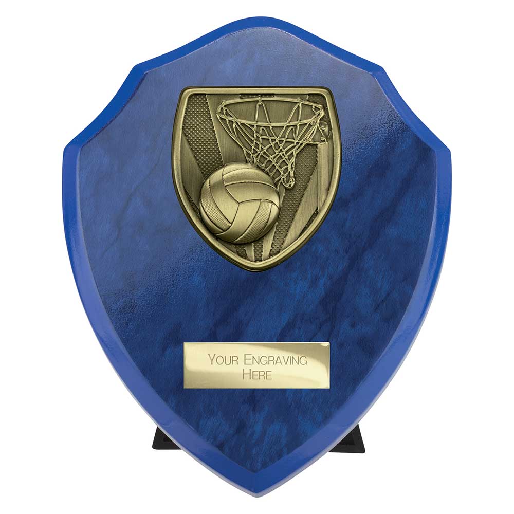 Cobra Shield Netball Award