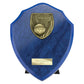 Cobra Shield Netball Award