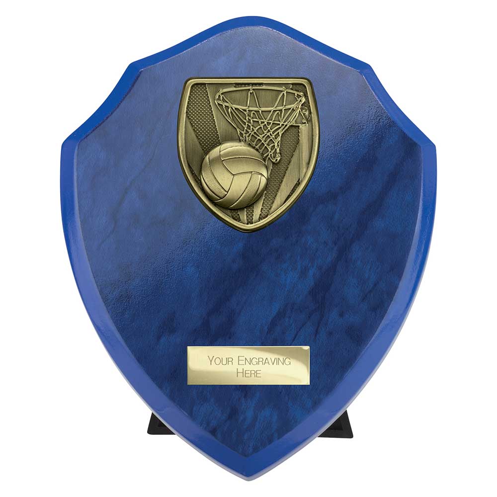 Cobra Shield Netball Award