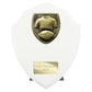 Cobra Shield Football Shirt & Ball Award Arctic White