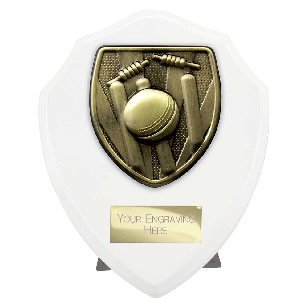 Cobra Shield Cricket Award