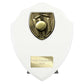 Cobra Shield Cricket Award