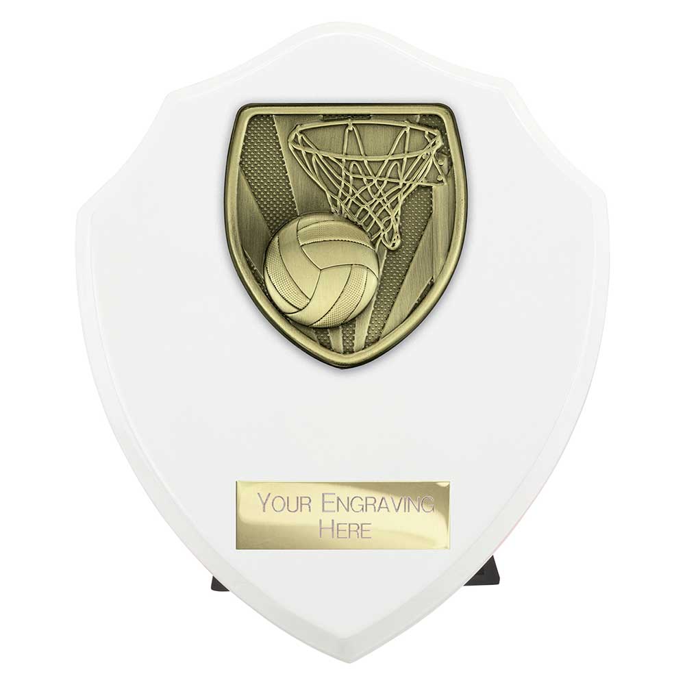 Cobra Shield Netball Award