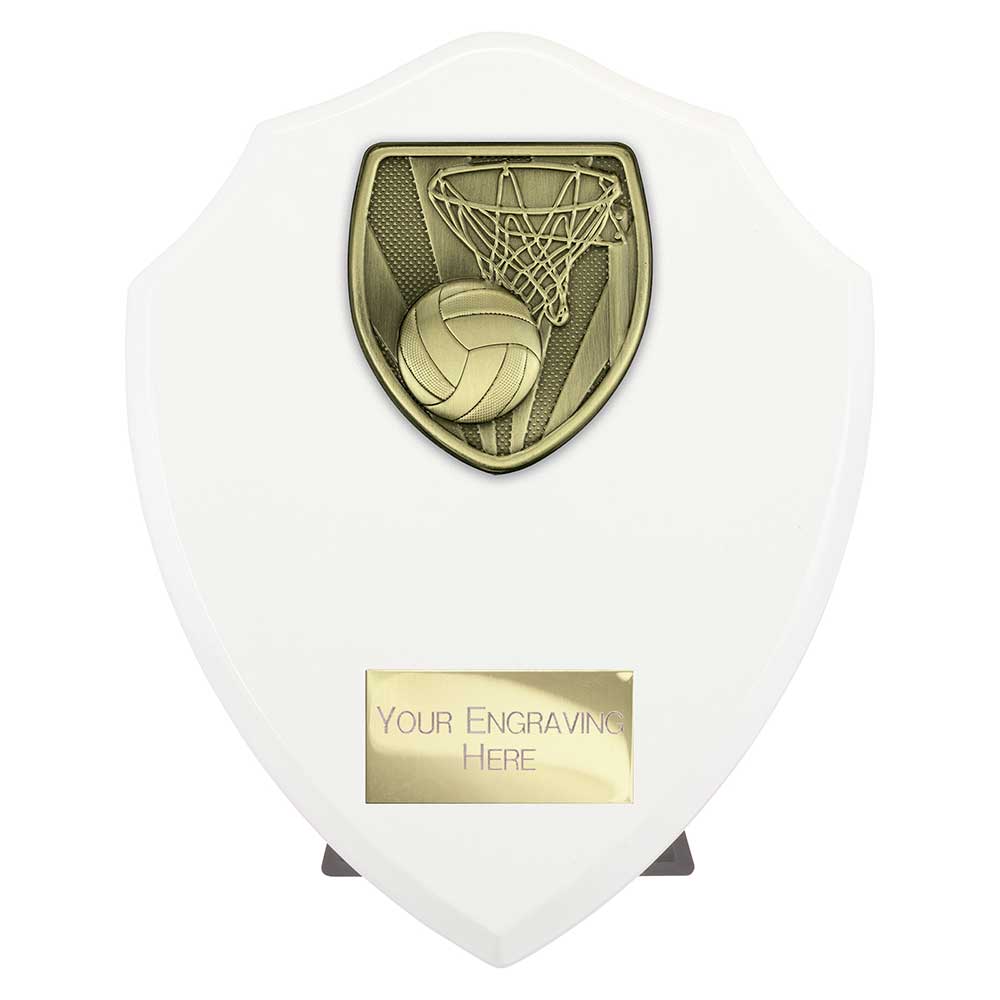 Cobra Shield Netball Award