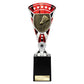 Cobra Star Cup Badminton