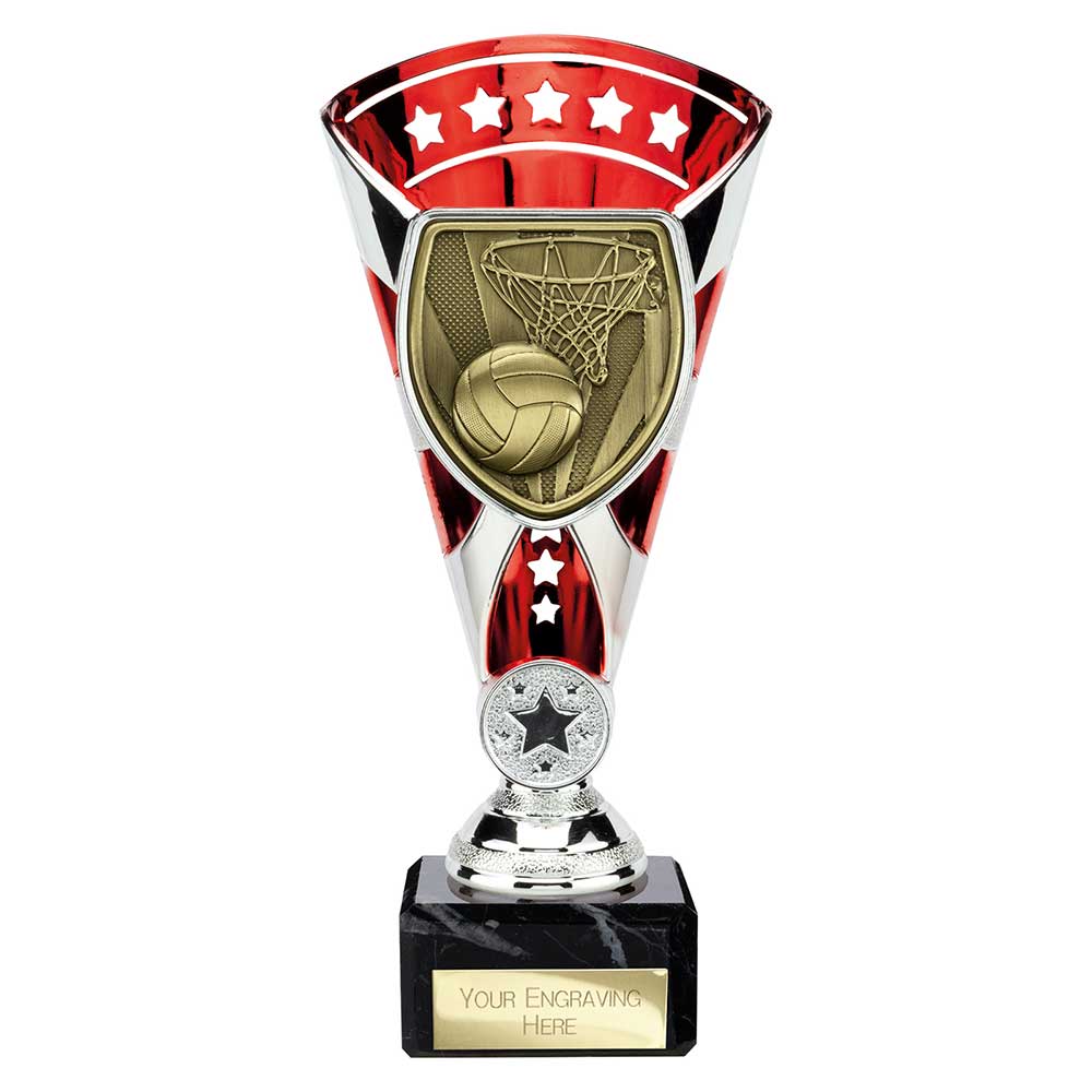 Cobra Star Cup Netball