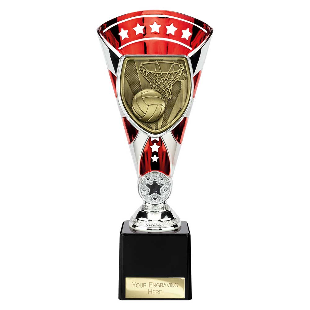 Cobra Star Cup Netball