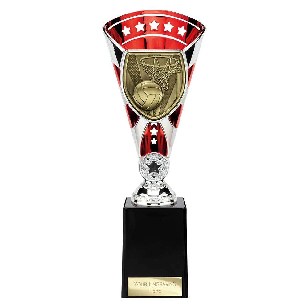 Cobra Star Cup Netball