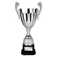 Spartan Cup Silver