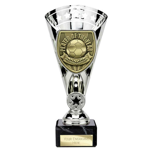 Cobra Star Cup Player of Year Silver