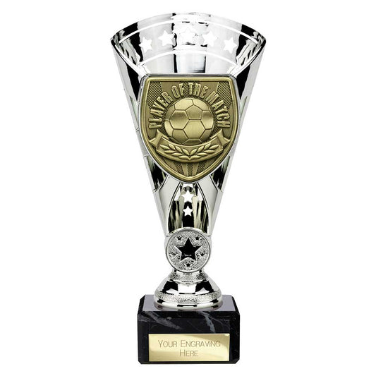 Cobra Star Cup Player of Match Silver