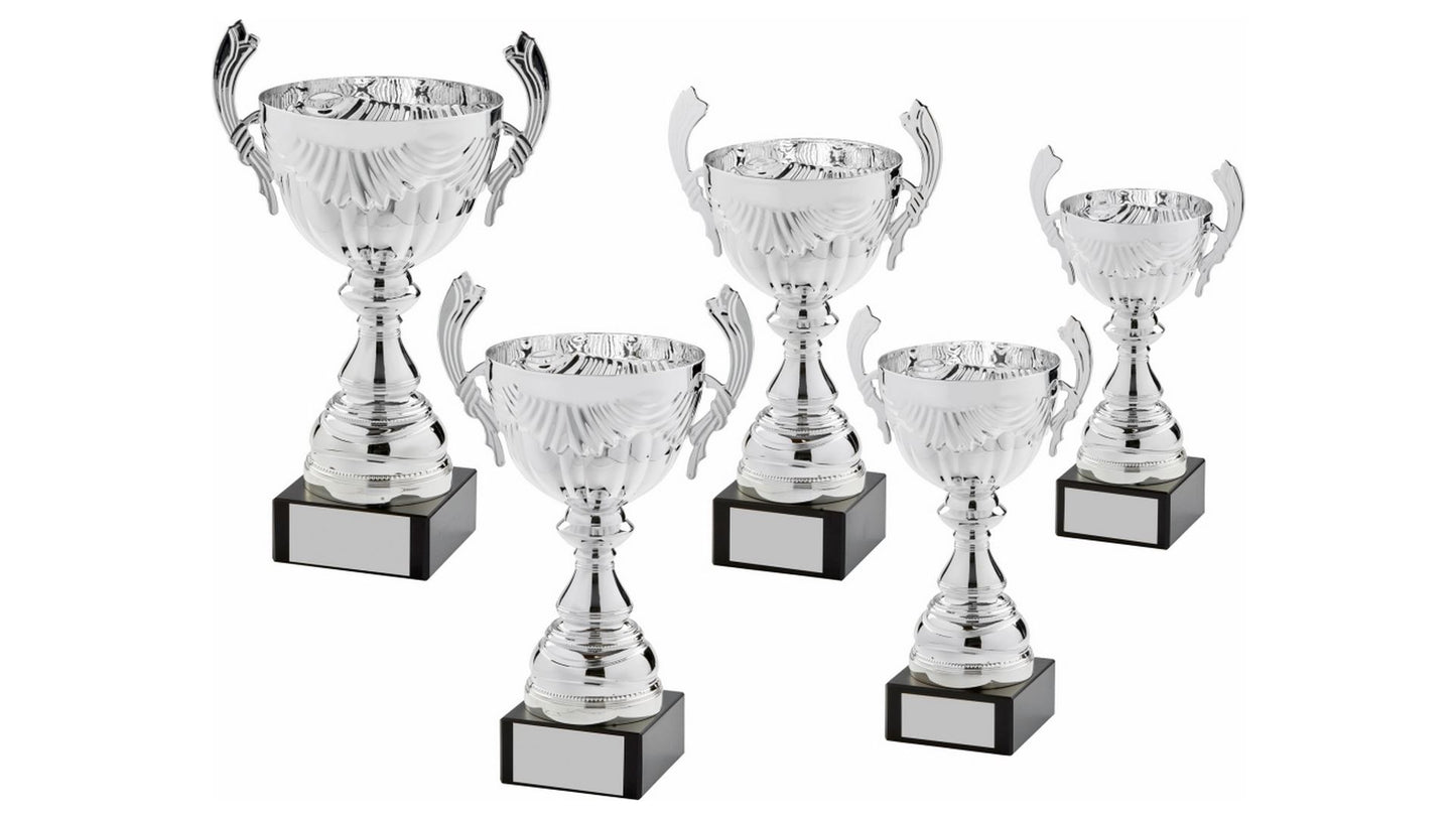 Silver Presentation Cup With Handles