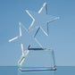 Optical Crystal Single Rising Star Award