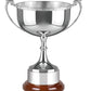 Celtic SIlver Plated Cup on Wooden Base