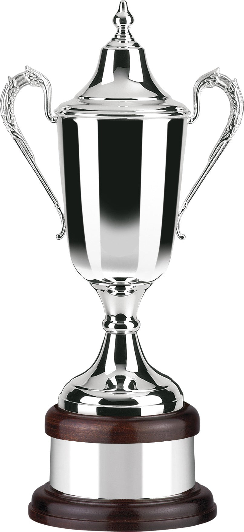 Plain Bodied Silver Plated Supreme Award