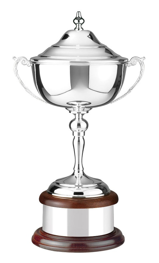 Silver Plated Ultimate Award with Lid - 3 Sizes