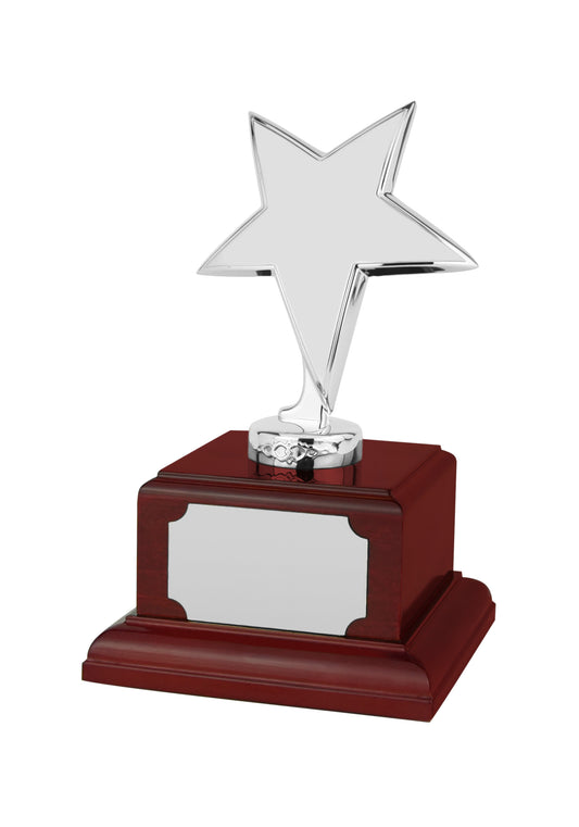 MB-EACH (P) 17.5cm Silver Finish Star Award